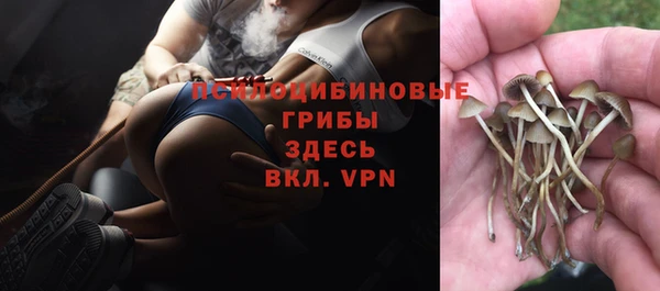 молекула духа Балахна