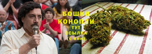 бошки Надым