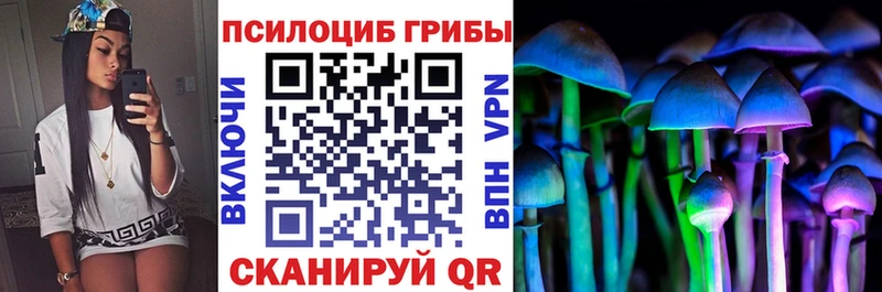 Псилоцибиновые грибы прущие грибы  MEGA онион  Сорочинск 